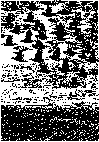 image 15k