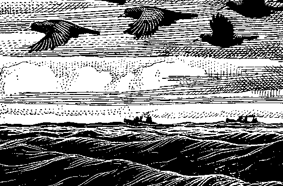 image 11k